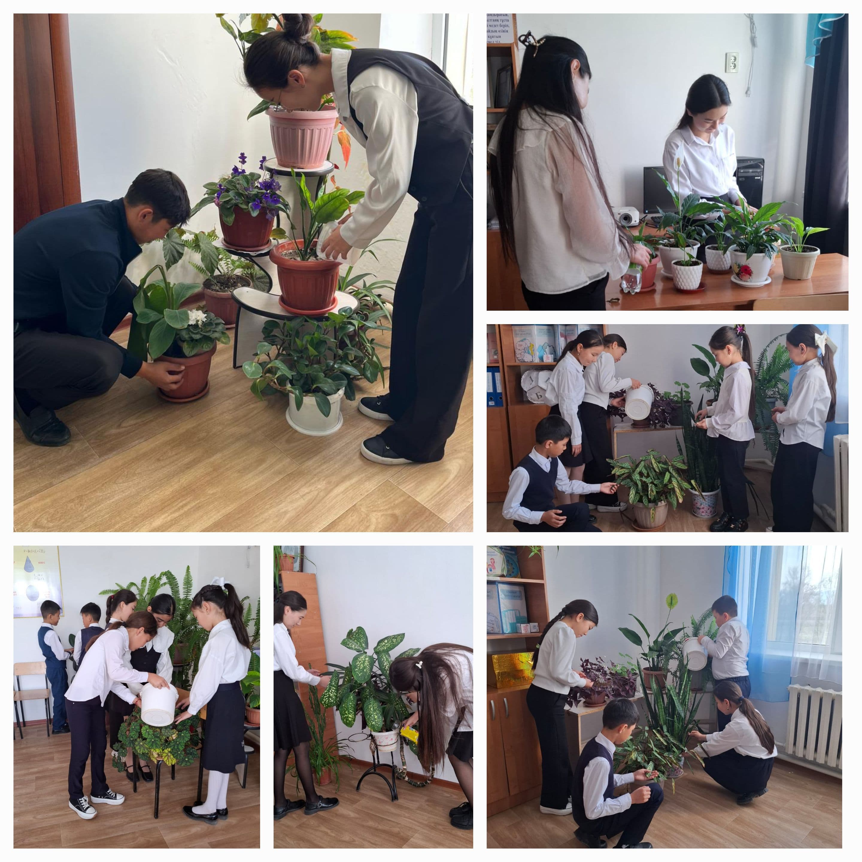 "Жасыл мектеп" акциясы