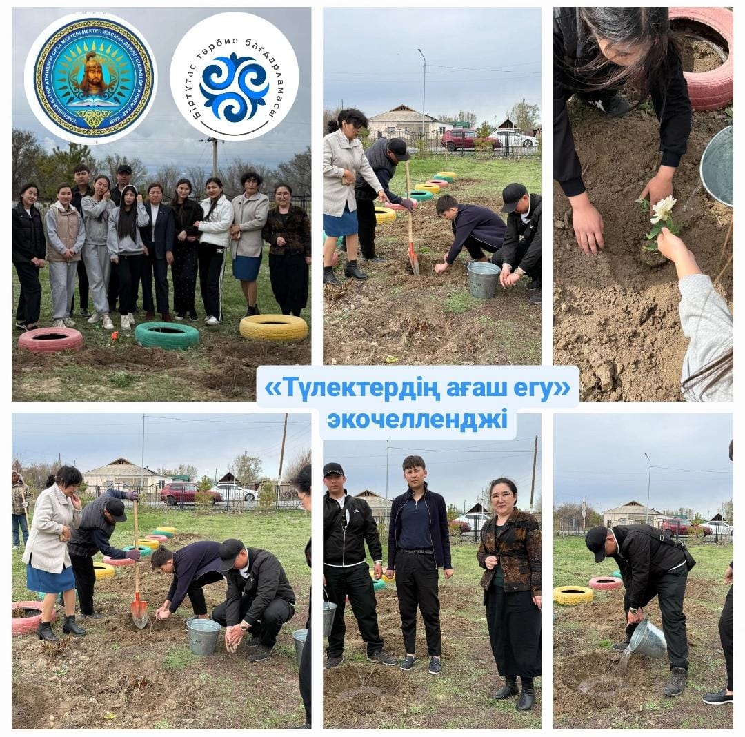 «Түлектердің ағаш егу» экочелленджі