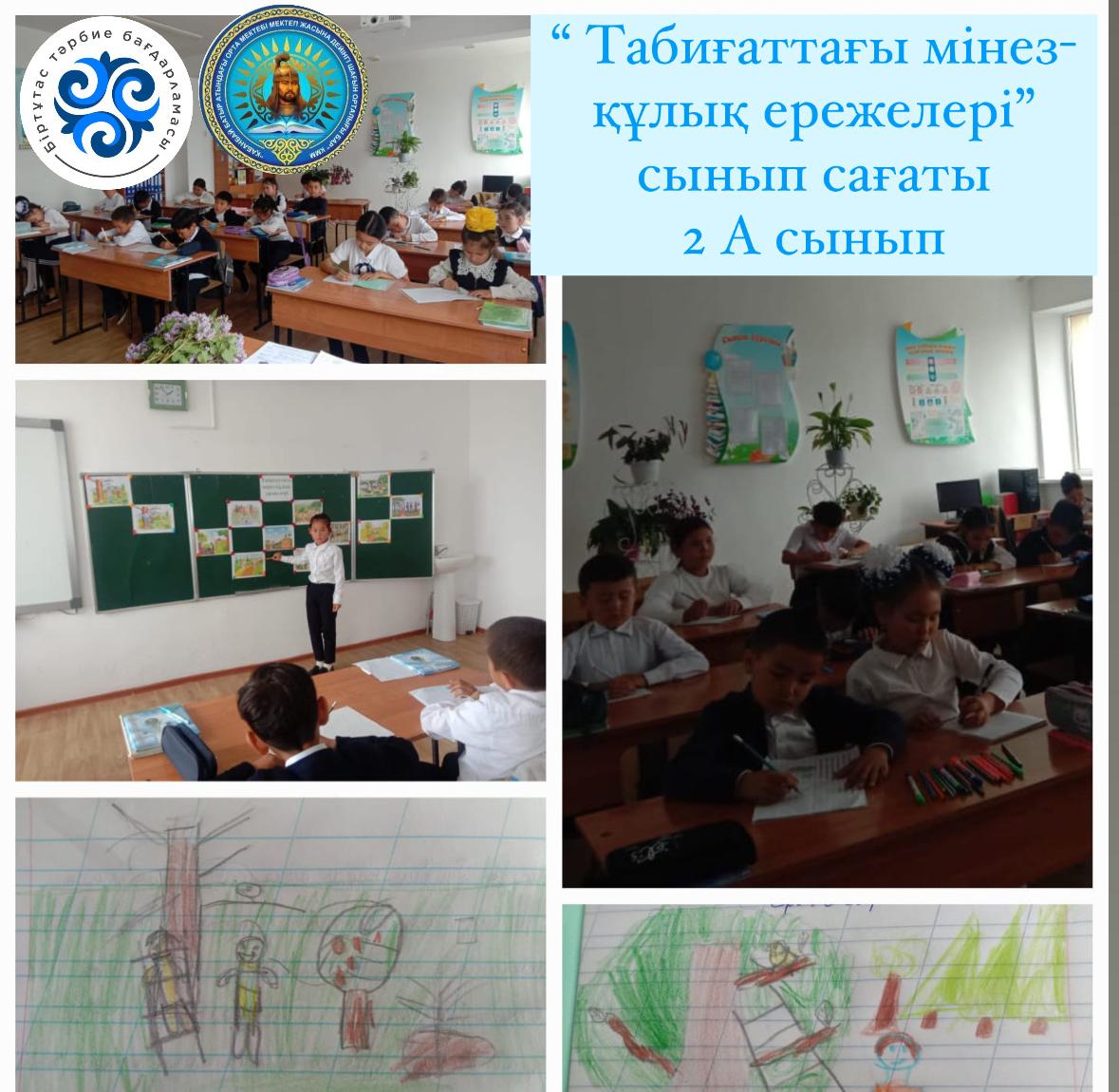 «Табиғаттағы мінез-құлық ережелері»  сынып сағаты